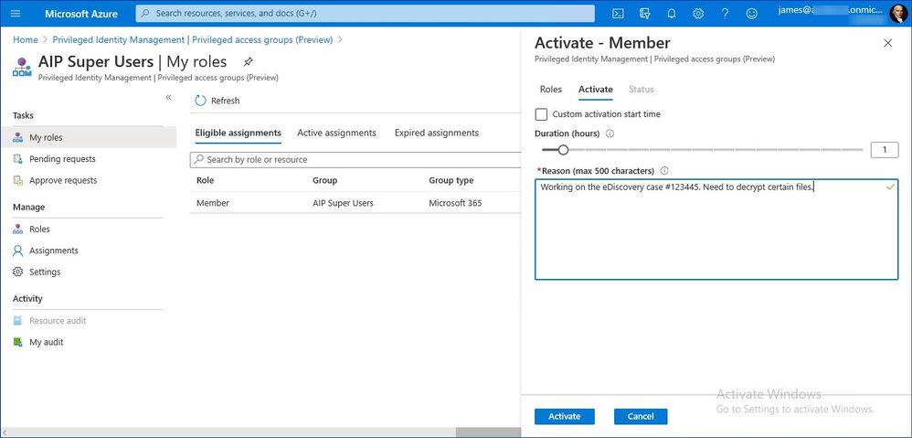 Figure 13: Privileged group activation dialog
