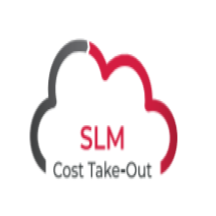 SLM Cost Take-Out.png