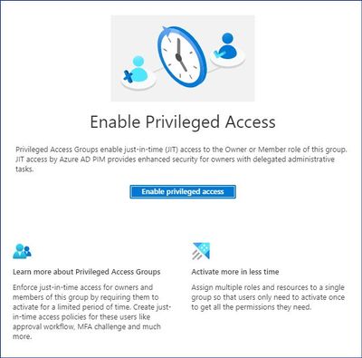 Figure 6: Enabling Privileged Access for the new group