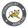 Apache Tomcat Server on Ubuntu 18.04.png