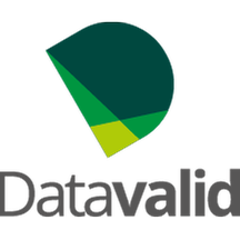 Information and Analysis Platform - Datavalid.png