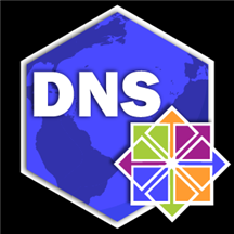 DNS Server (IaaS) on Linux CentOS 7.8.png