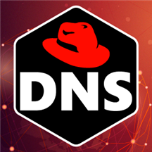 DNS Server (IaaS) on Red Hat Enterprise Linux 8.2.png