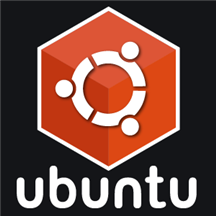 Ubuntu Server 20.04 LTS Minimal.png