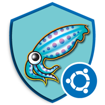 Squid Protected Proxy Server on Ubuntu Minimal.png