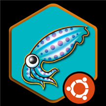 Squid Proxy Server on Ubuntu 18.04 Minimal.png