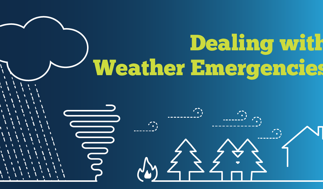 Free winter weather emergency tips from the FTC