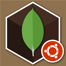 MongoDB 4.4.1 on Ubuntu 20.png