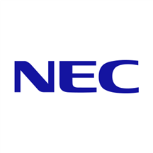 NEC Professional Services.png