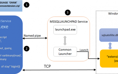Inference of ML Models in SQL Server via External Languages