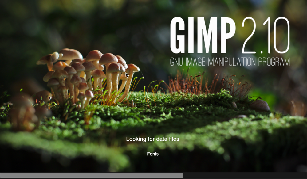 Screenshot of the GIMP splash screen