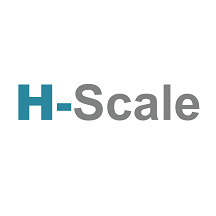 H-Scale For Providers.png