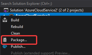 Package in Visual Studio
