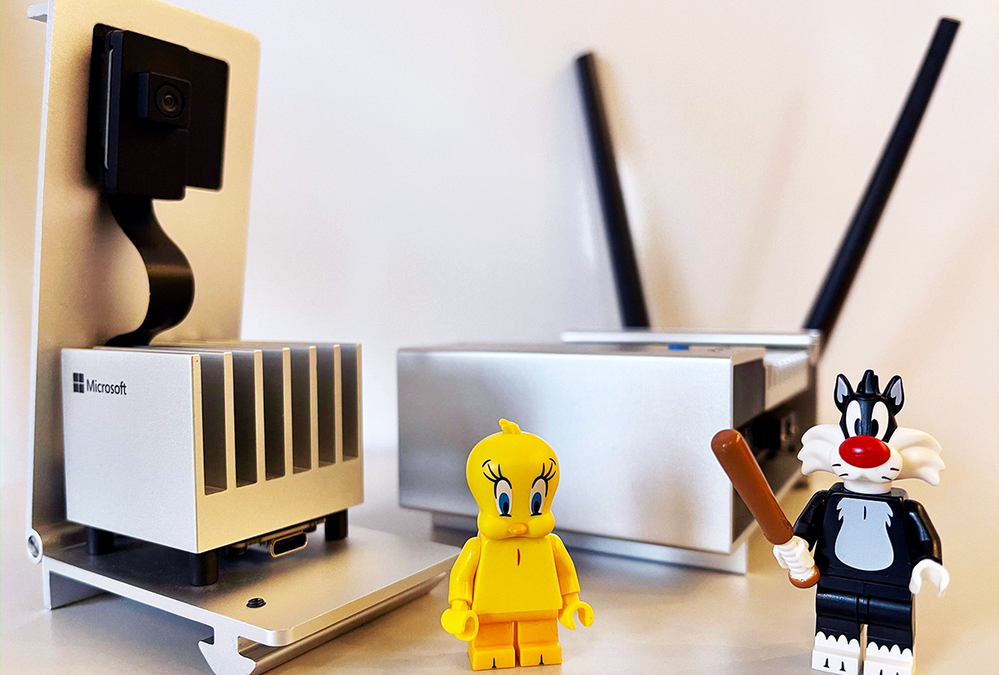 Saving Tweety with Azure Percept