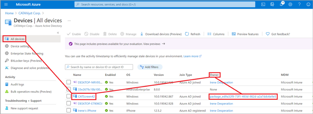 Figure 28: Azure AD Device owner