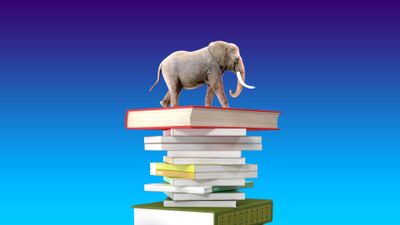 Postgres-elephant-on-stack-of-books-blue-background-1920x1080.jpg Postgres-elephant-on-stack-of-books-blue-background-1920x1080.jpg