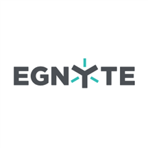 Egnyte for Microsoft Teams.png