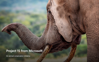 Project 15 from Microsoft – A Story in Five Parts