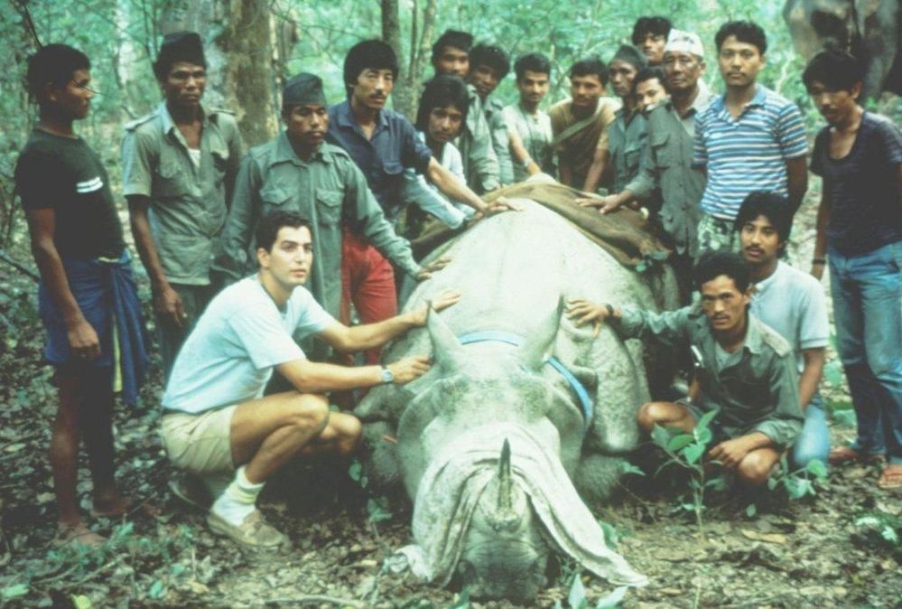 Dr. Eric Dinerstein collaring the first Rhino at Kathmandu Zoo - c. 1986