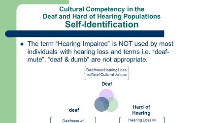 Cultural Mediation – How Can Open Communication Benefit the Workplace?