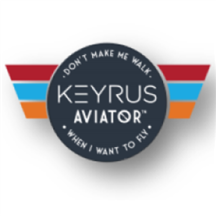 Keyrus Aviator MSP - 1-Week Assessment.png