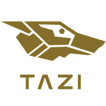 TAZI Claritas - Claim Fraud Detection.png