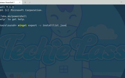 Windows Package Manager can help you export and import a collection of software!