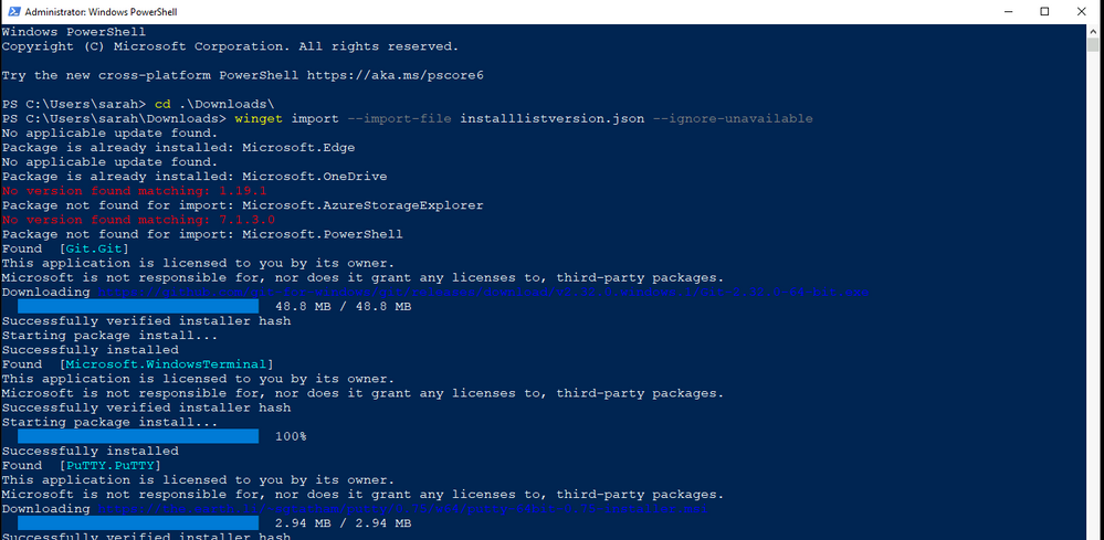 Windows Package Manager import command