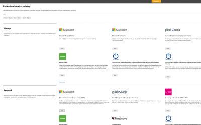 Take your security to the next level with professional security services