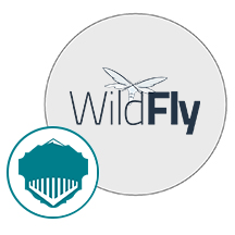 WildFly.png