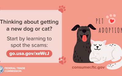 Get the dog or cat instead of the scam
