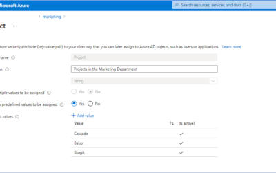 Introducing Azure AD custom security attributes