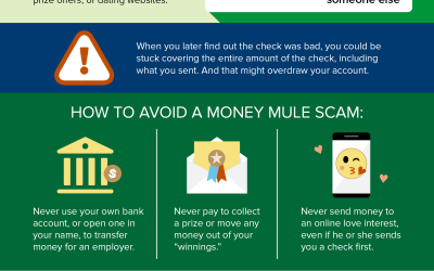Avoiding a money mule scam