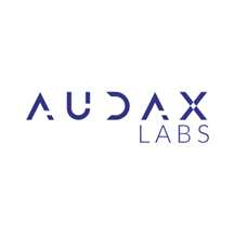 Audax Labs Product Engineering Services.png