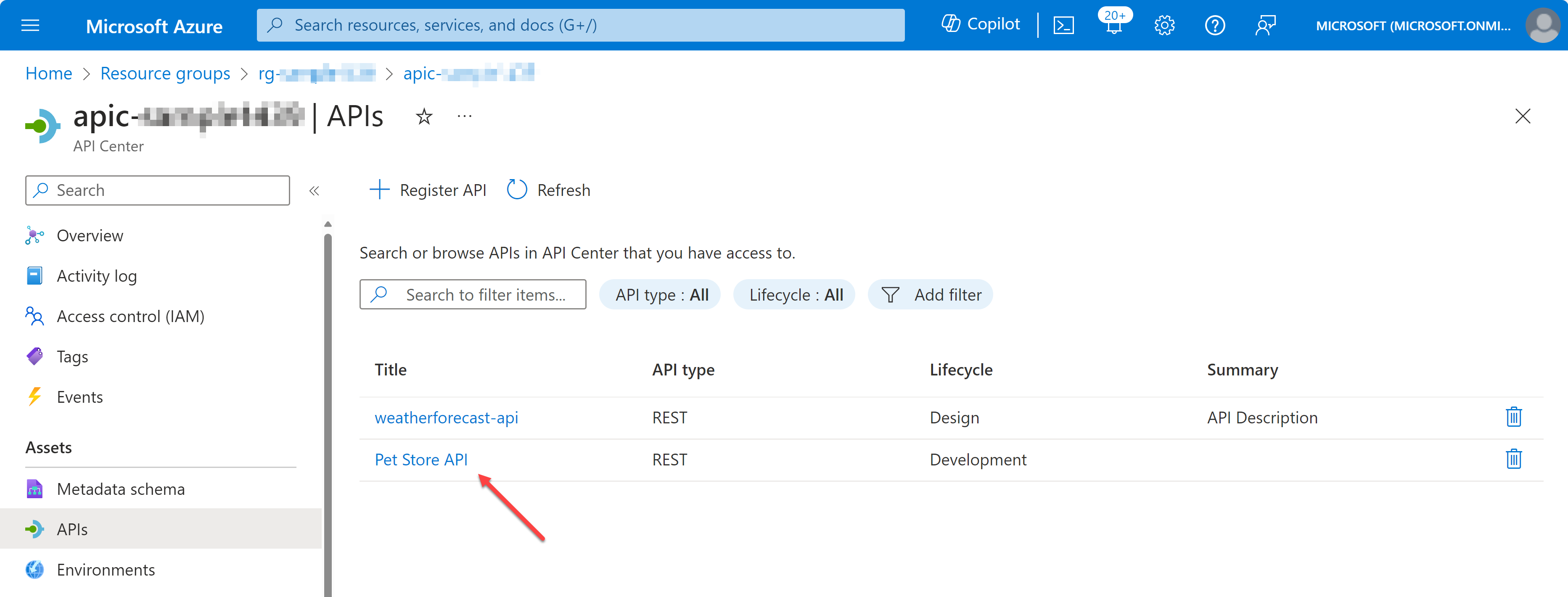 Registering API through Azure Portal